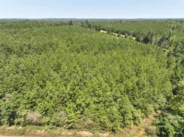 Land for sale in Sabine, Texas