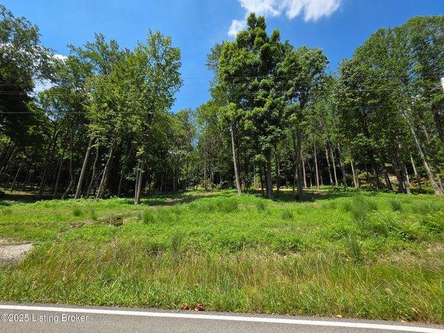 Land for sale in Falls of Rough, Breckinridge County
