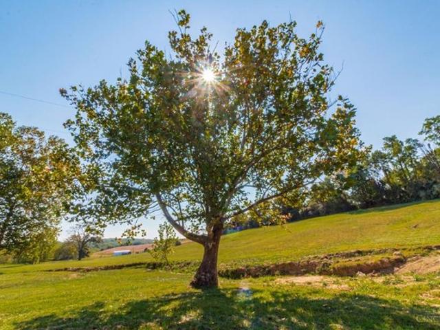 Land for sale in West Union, Ohio