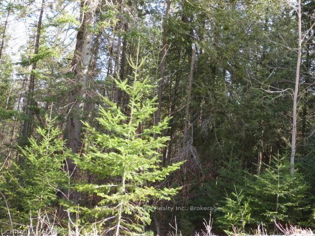 Land for sale in Ontario