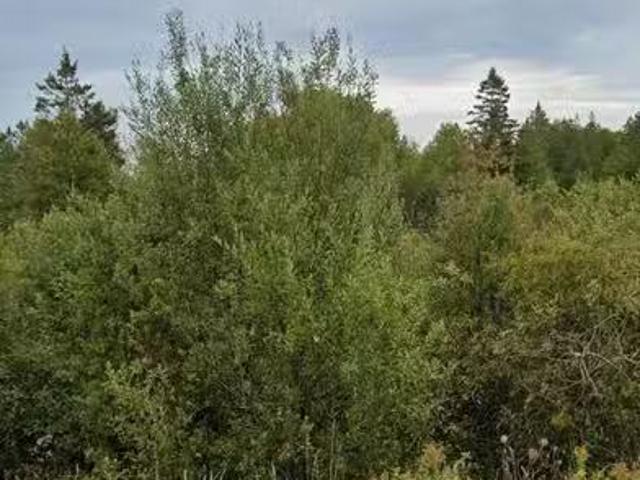 House for sale in Ontario