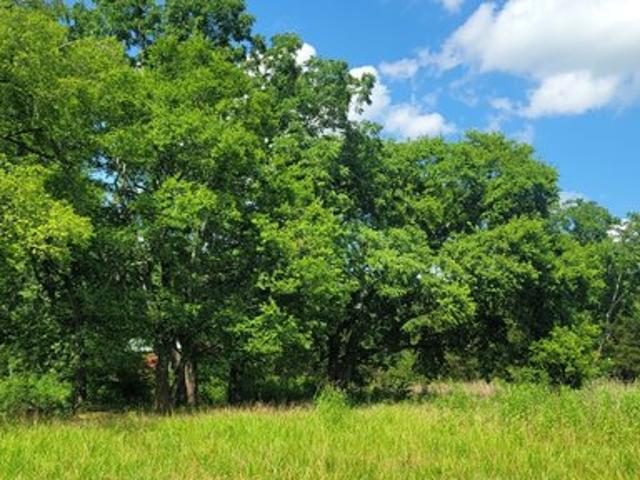 Farm for sale in Tennessee