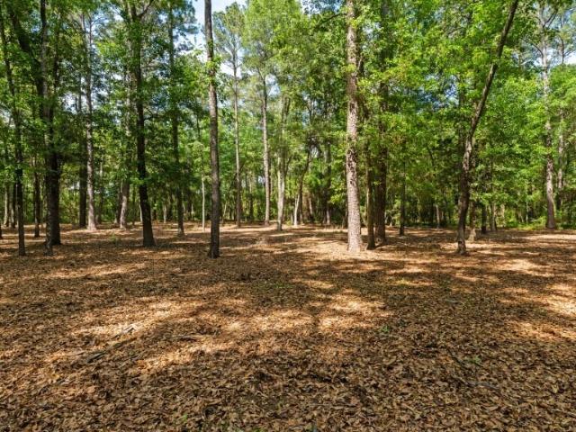 Land for sale in Dougherty, Georgia