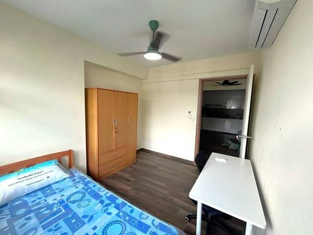 Room for rent
