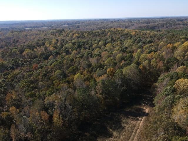 Land for sale in Tennessee