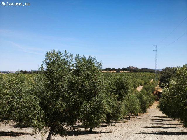 Casa en venta en Gasteizko kuadrilla, Guipúzcoa