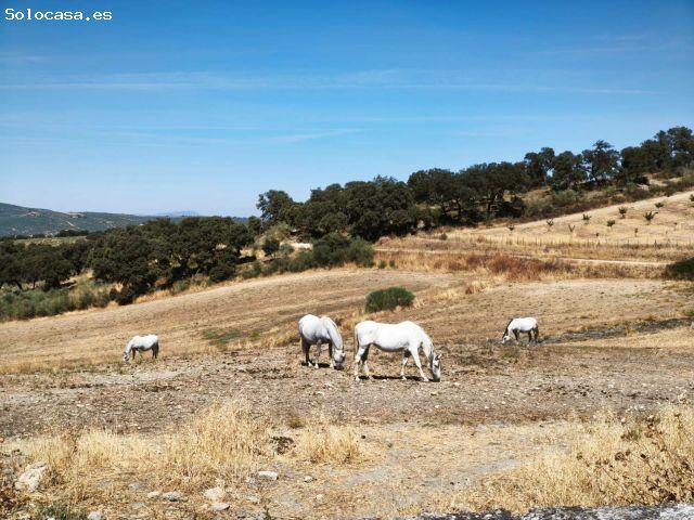 Casa en venta en Gasteizko kuadrilla, Guipúzcoa