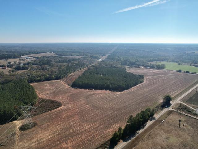 Land for sale in Headland, Alabama