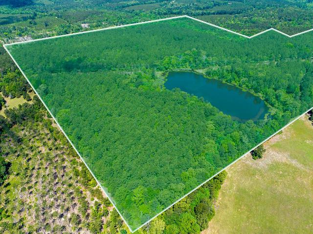 Land for sale in Atlanta, Texas