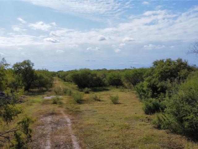 Land for sale in San Patricio, Texas