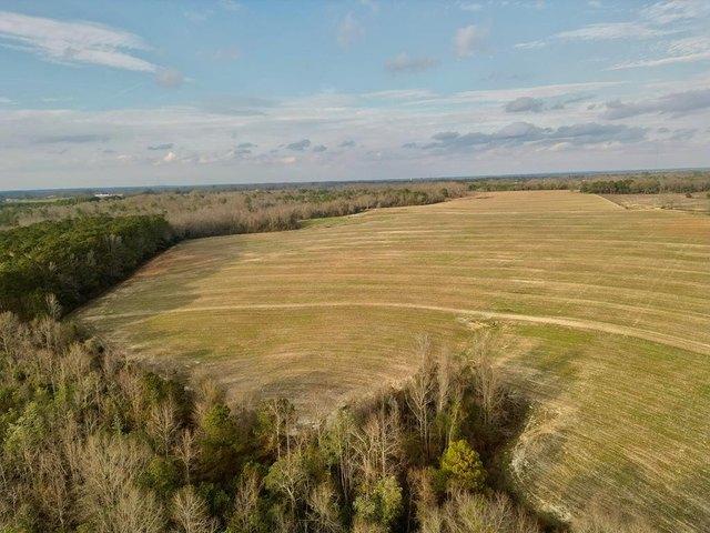 Farm for sale in Brundidge, Alabama
