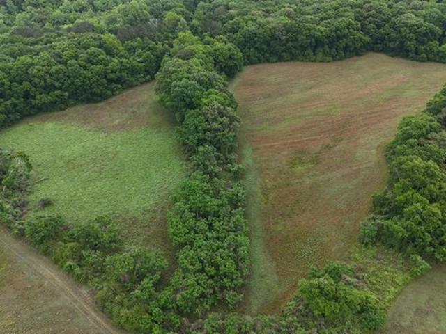 Land for sale in Troy, Alabama