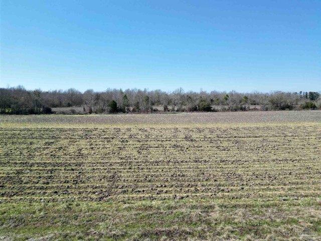 Land for sale in Atmore, Alabama