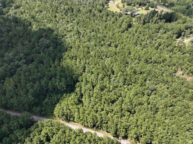 Land for sale in Hillister, Texas