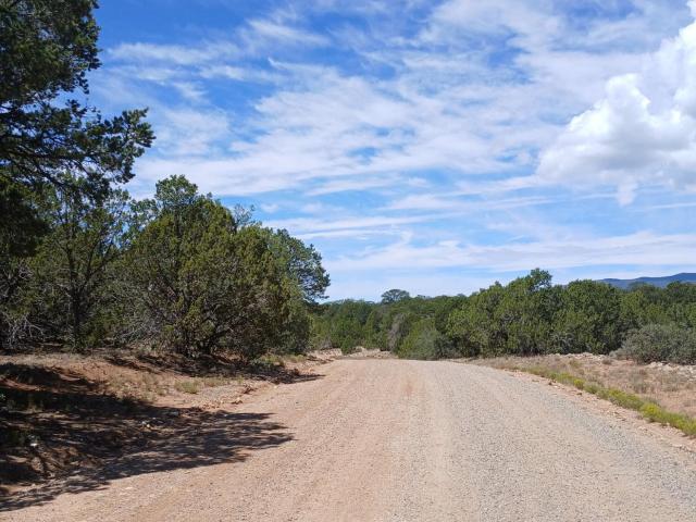 Land for sale in Placitas, New Mexico