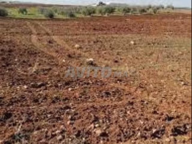 Propriété vente à Settat, Gharb-Chrarda-Beni Hssen