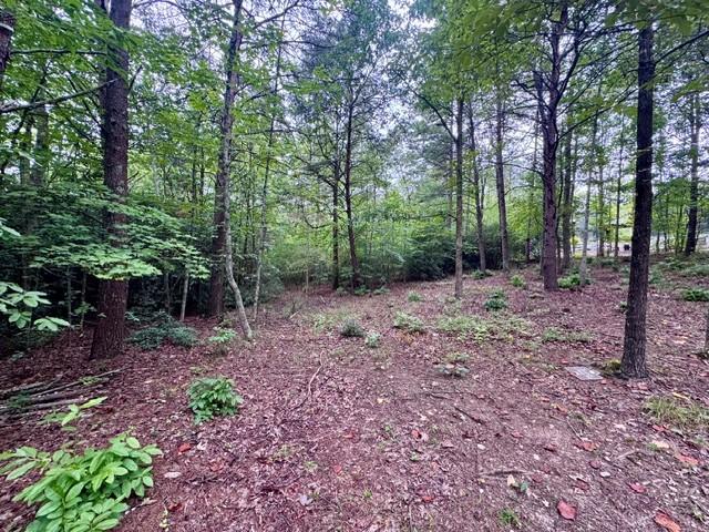Land for sale in Marietta, South Carolina
