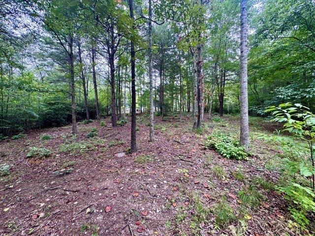 Land for sale in Marietta, South Carolina