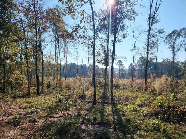 Land for sale in Natchitoches, Louisiana