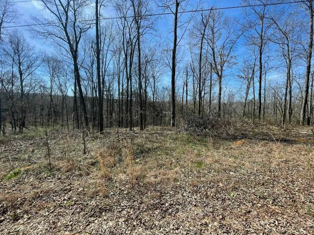 Land for sale in Tennessee