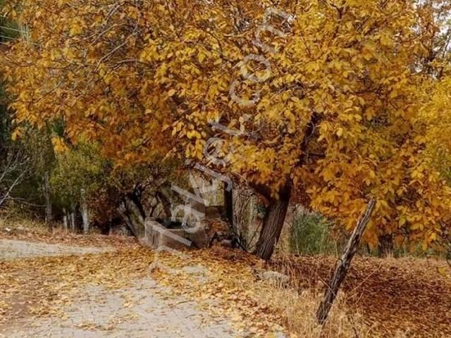 Beyağaç, Denizli içerisinde satılık Villa