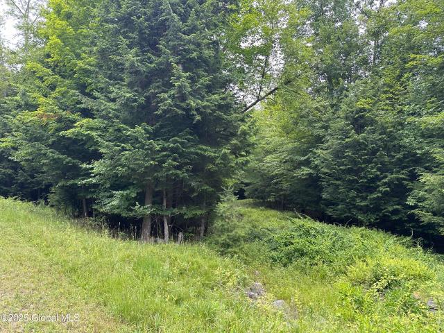 Land for sale in Bolton Landing, New York