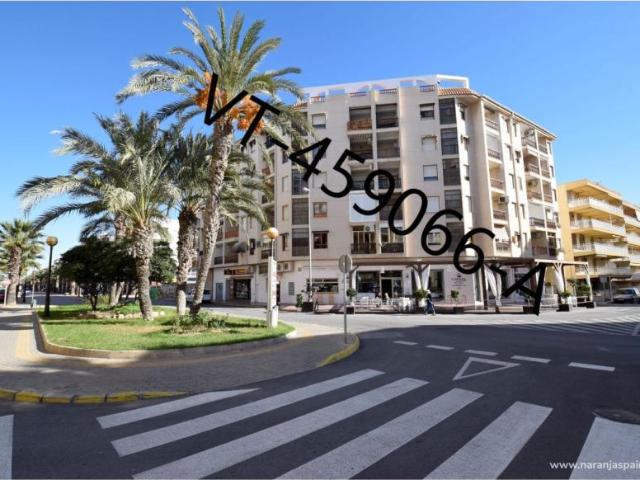 Apartamento en alquiler en Guardamar Del Segura, Valencia