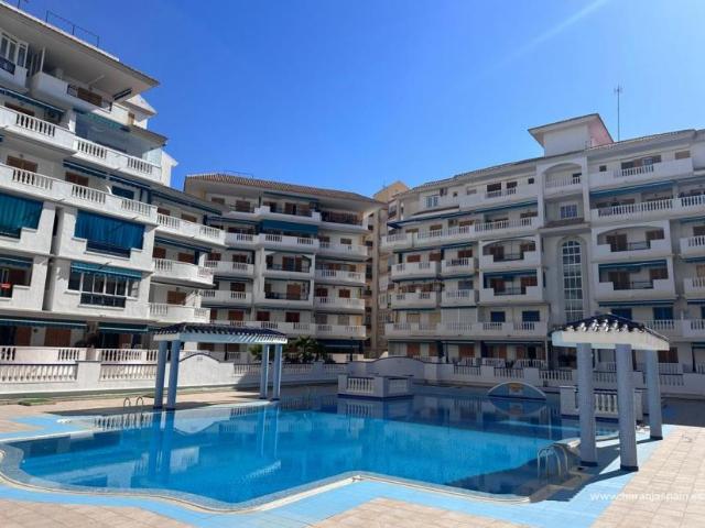 Apartamento en alquiler en La Mata, el Baix Segura / La Vega Baja