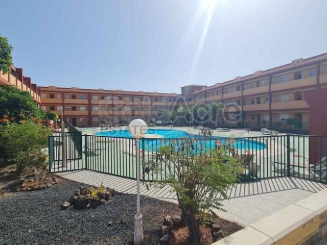 Apartamento en alquiler en Parque Holandés, Fuerteventura