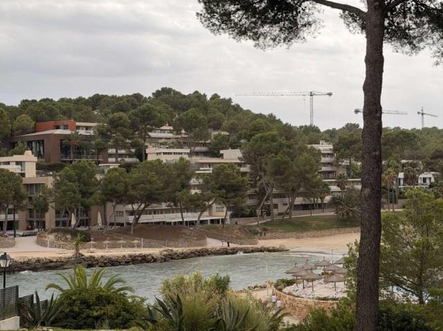 Apartamento en alquiler en Palma, Baleares