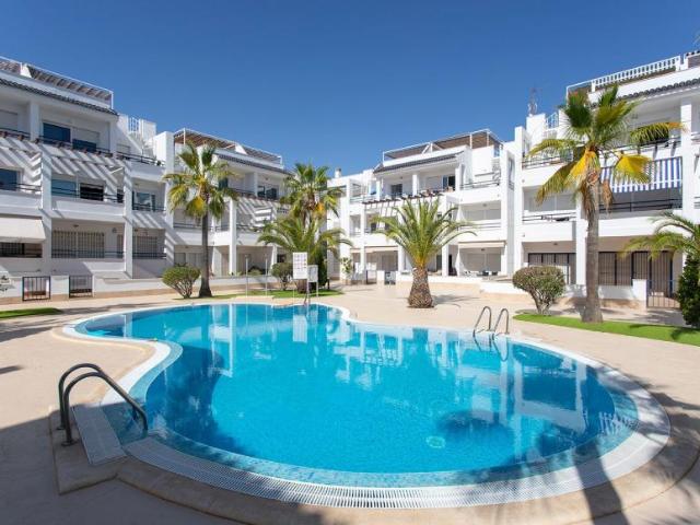 Apartamento en alquiler en Torrevieja
