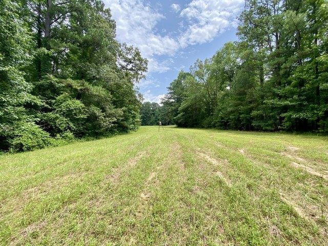 Land for sale in Northport, Tuscaloosa County