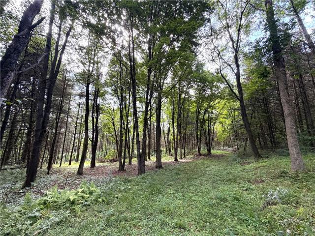 Land for sale in Town of Clarksville, Town of Cuba