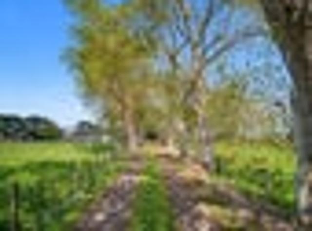 House for sale in Huntington Park, Howick