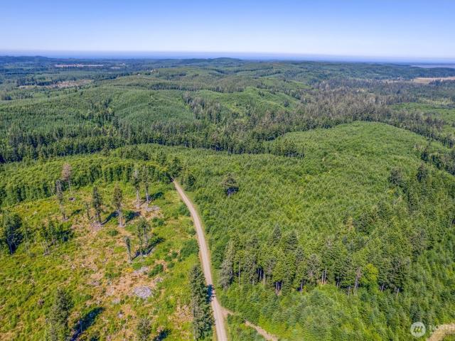Land for sale in Chinook, Pacific County