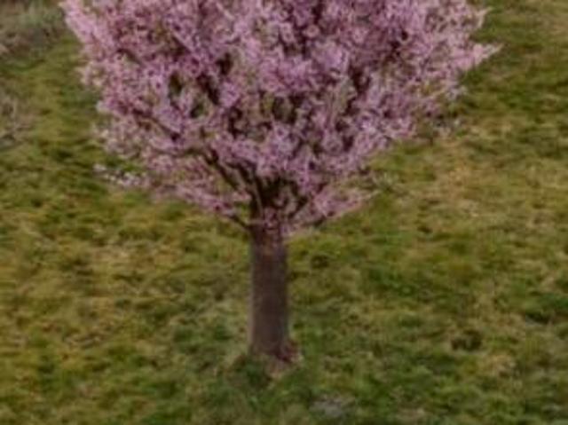 Haus kaufen in Nidda, Hessen
