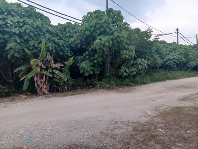 Property for sale in Kalumpang, Selangor