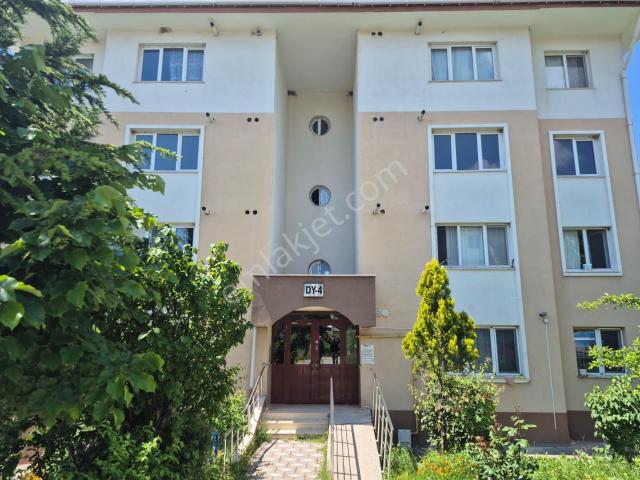 Merzifon, Amasya içerisinde kiralık mülk