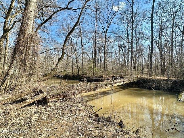 Land for sale in Carthage, Mississippi