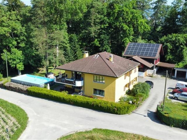Einfamilienhaus kaufen in Scheuren, Bern