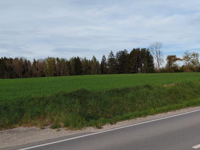 Landwirtschaft kaufen in Kumhausen, Bayern