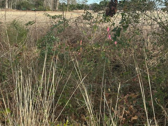 Property for sale in Grandy, North Carolina