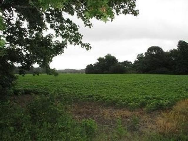 Farm for sale in Virginia