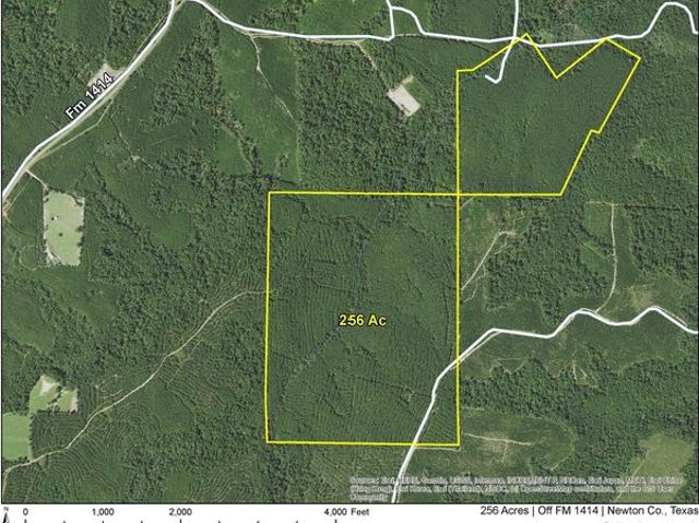 Land for sale in Newton, Texas