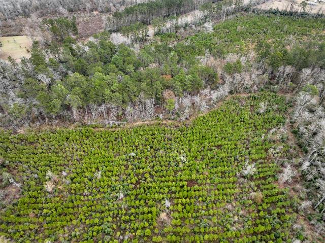 Land for sale in Newton, Texas