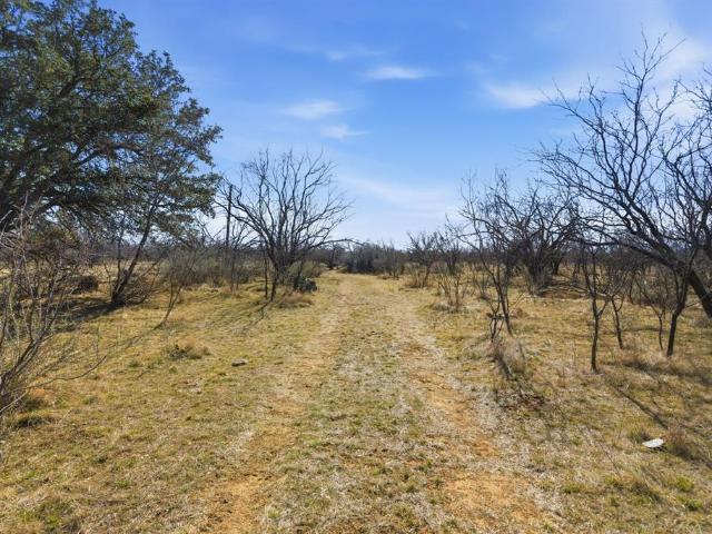 Land for sale in Moran, Texas