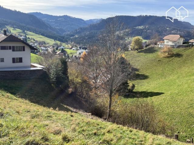 Grundstück kaufen in Plasselb, Freiburg