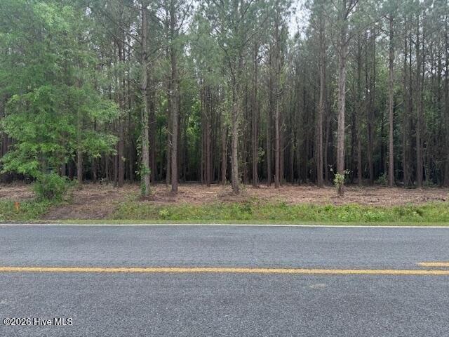 Land for sale in Ernul, North Carolina