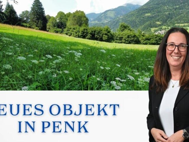 Grundstück kaufen in Penk, Kärnten
