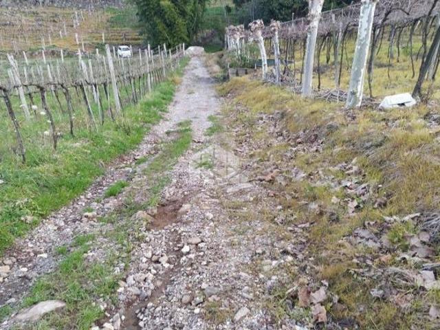 Sítio e chácara venda em Região Geográfica Imediata de Bento Gonçalves, Bento Gonçalves